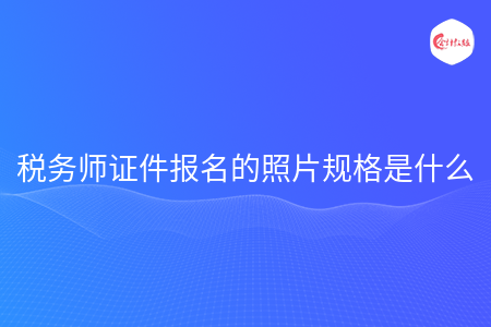 税务师证件报名的照片规格是什么