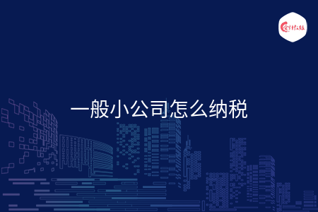 一般小公司怎么纳税
