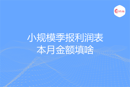 小规模季报利润表本月金额填啥