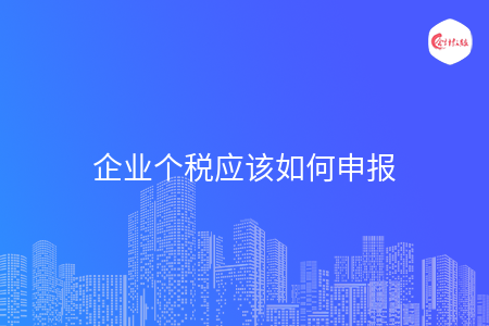 企业个税应该如何申报
