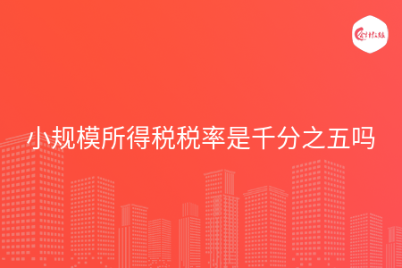 小规模所得税税率是千分之五吗