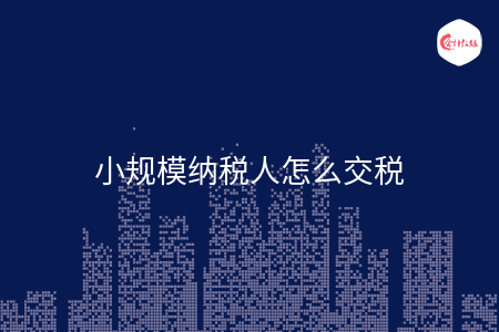 小规模纳税人怎么交税