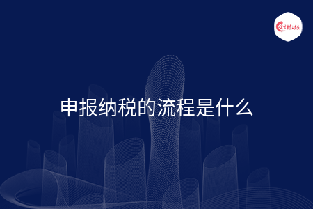 申报纳税的流程是什么