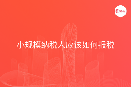 小规模纳税人应该如何报税