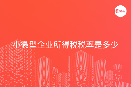 小微型企业所得税税率是多少