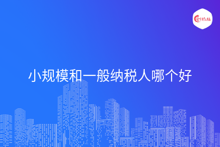 小规模和一般纳税人哪个好