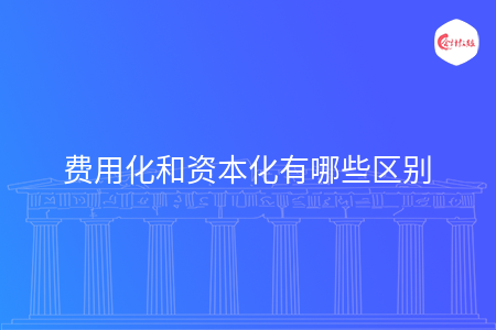 费用化和资本化有哪些区别