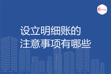 设立明细账的注意事项有哪些