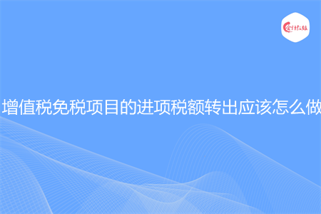 增值税免税项目的进项税额转出应该怎么做