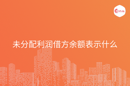 未分配利润借方余额表示什么