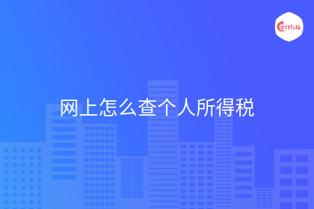 网上怎么查个人所得税