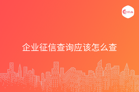企业征信查询应该怎么查
