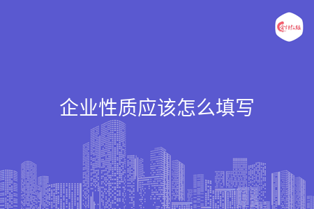 企业性质应该怎么填写