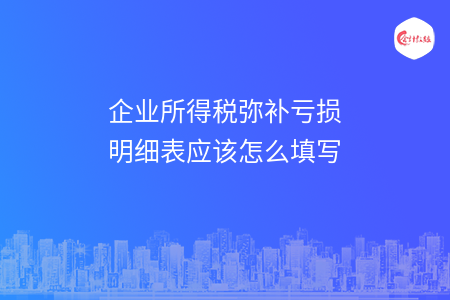 企业所得税弥补亏损明细表应该怎么填写