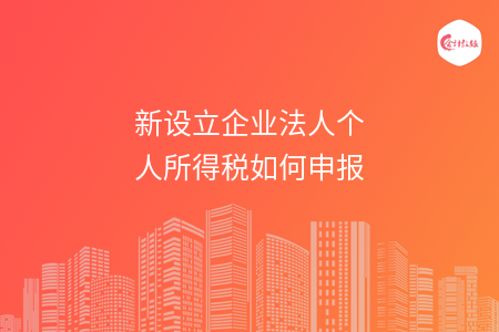 新设立企业法人个人所得税如何申报