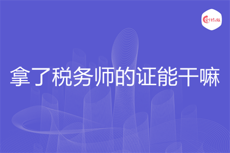 拿了税务师的证能干嘛