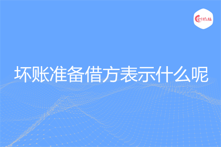 坏账准备借方表示什么呢